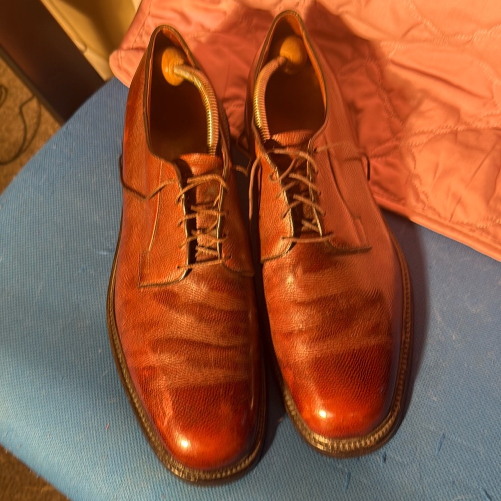 Allen Edmonds Dress shoes with shoe horns inside size 14